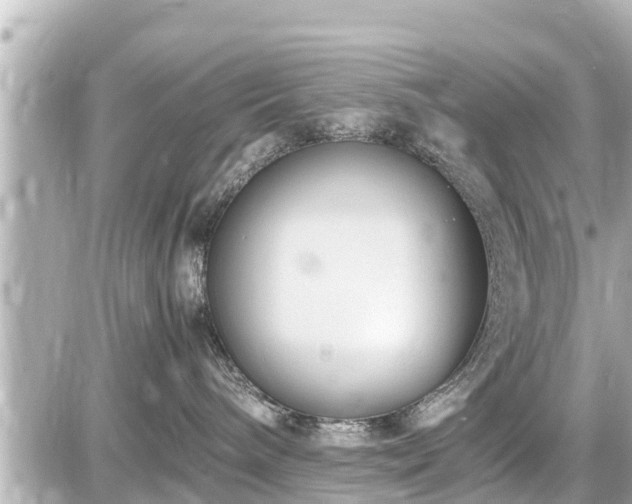 X0000087050240200704251012