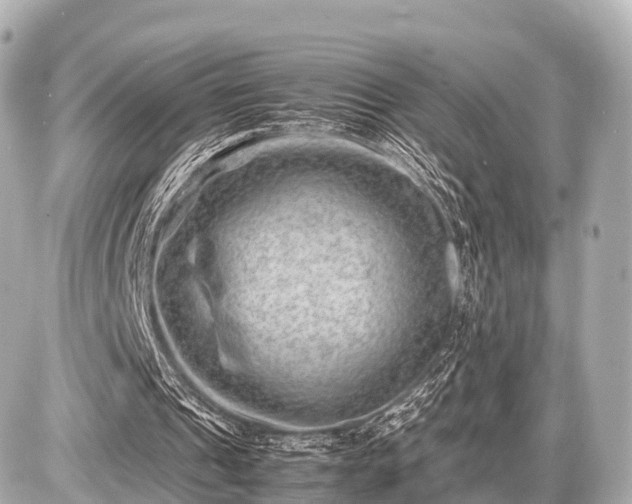 X0000087050241200704251011