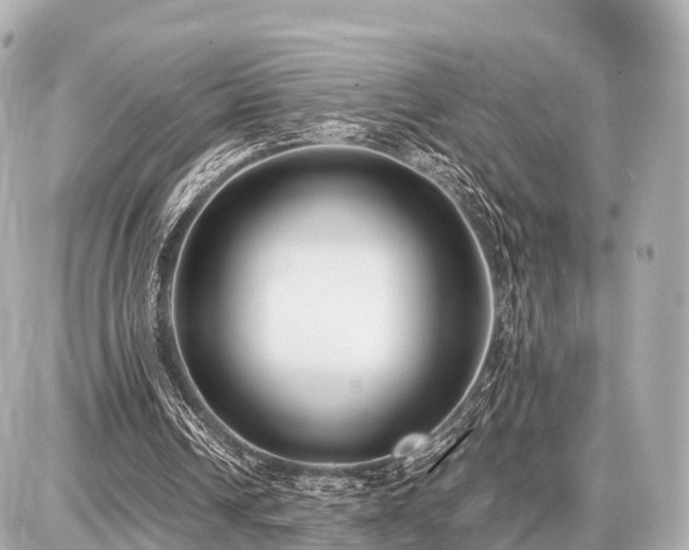 X0000087050242200704251011