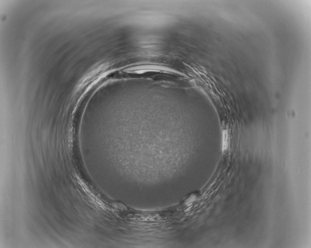 X0000087050243200704251011