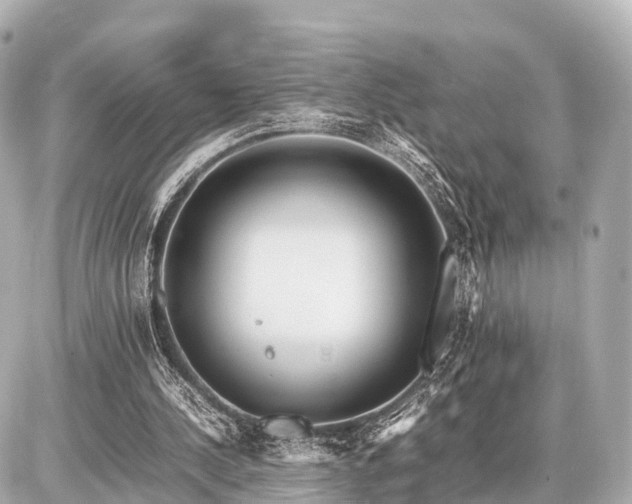 X0000087050244200704251011