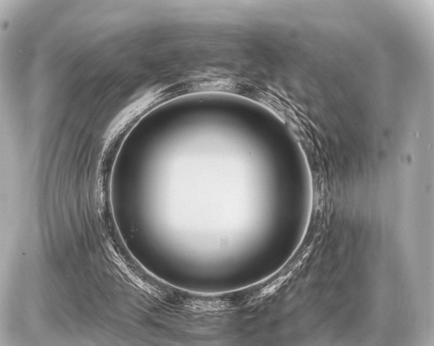 X0000087050245200704251011