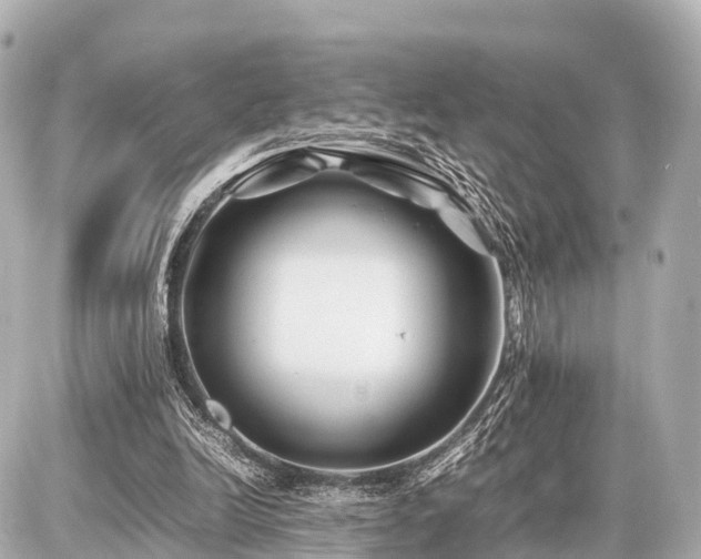 X0000087050246200704251011