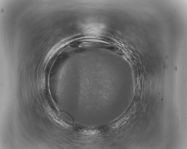 X0000087050247200704251011