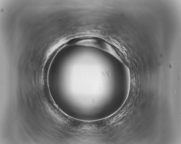 X0000087050248200704251011