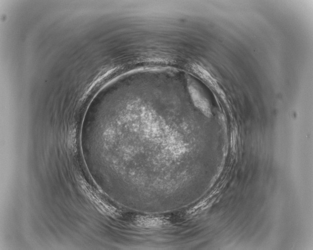 X0000087050249200704251011