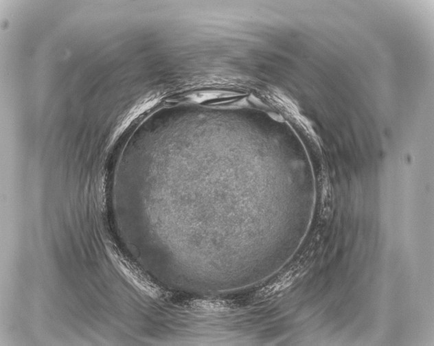 X0000087050250200704251011