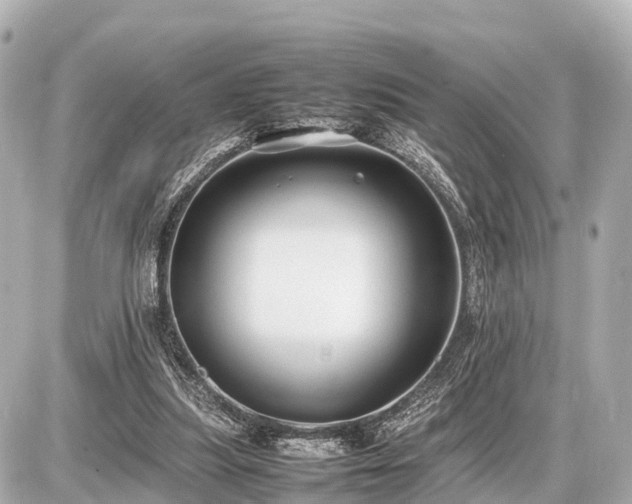 X0000087050251200704251011