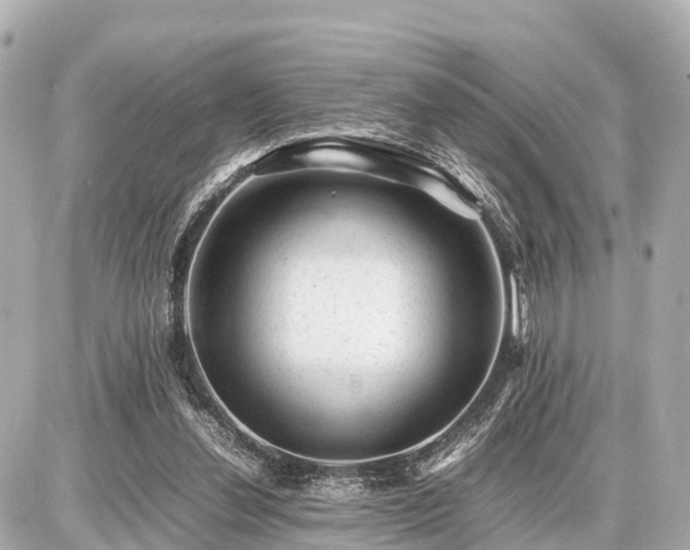 X0000087050252200704251011