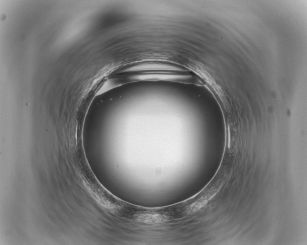 X0000087050253200704251011