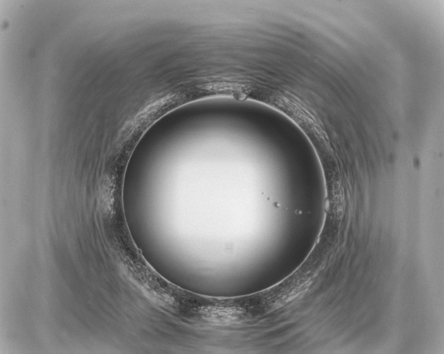 X0000087050255200704251011