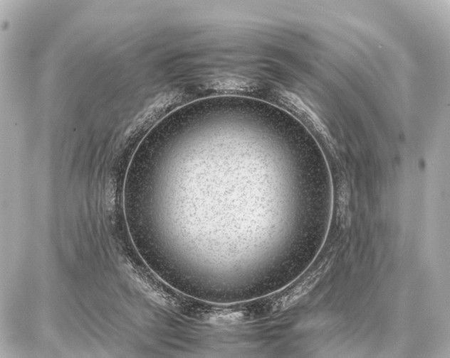 X0000087050257200704251011