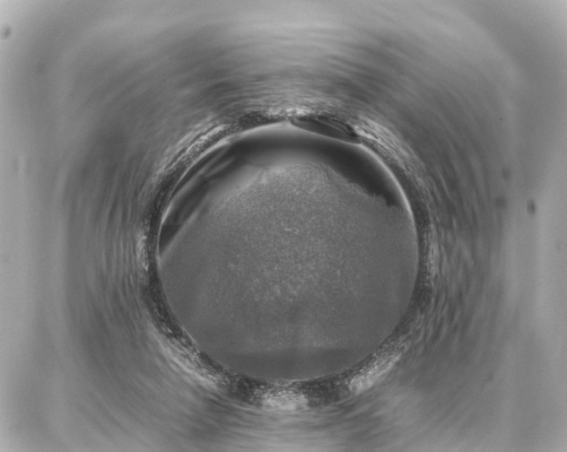 X0000087050258200704251011