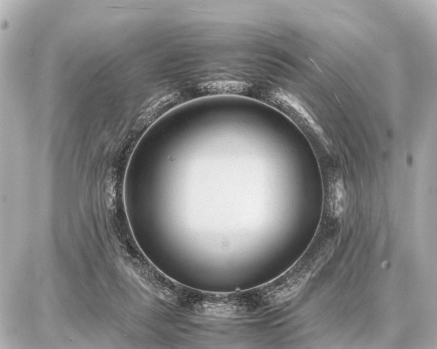 X0000087050259200704251011