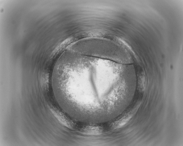 X0000087050260200704251011