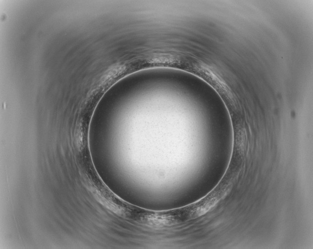 X0000087050261200704251011