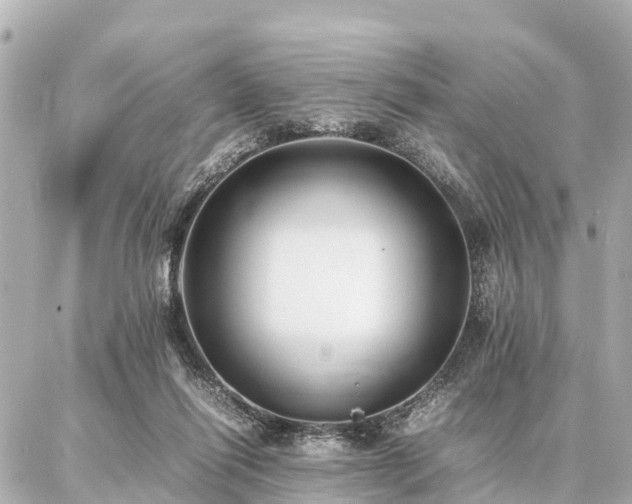 X0000087050262200704251011