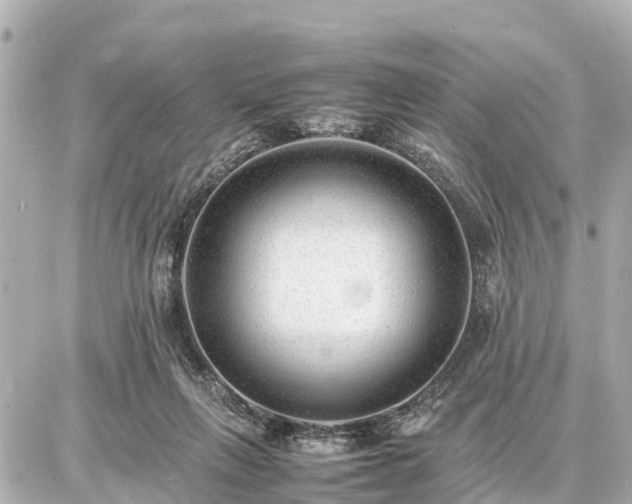 X0000087050263200704251011