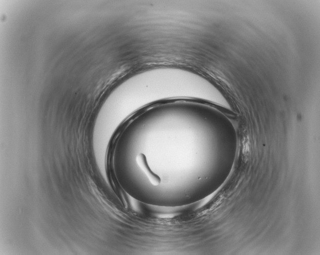 X0000087050264200704251011