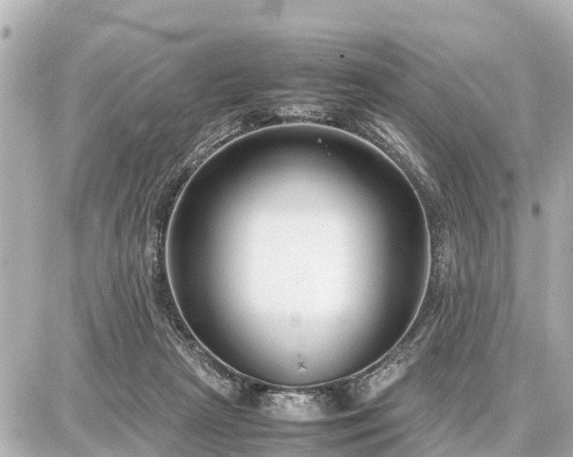 X0000087050265200704251011