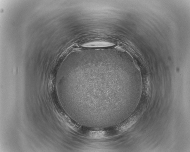 X0000087050266200704251011