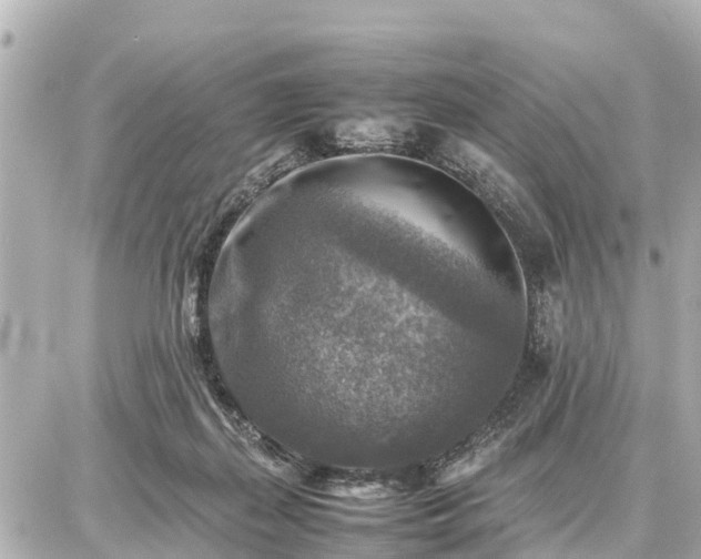 X0000087050267200704251011