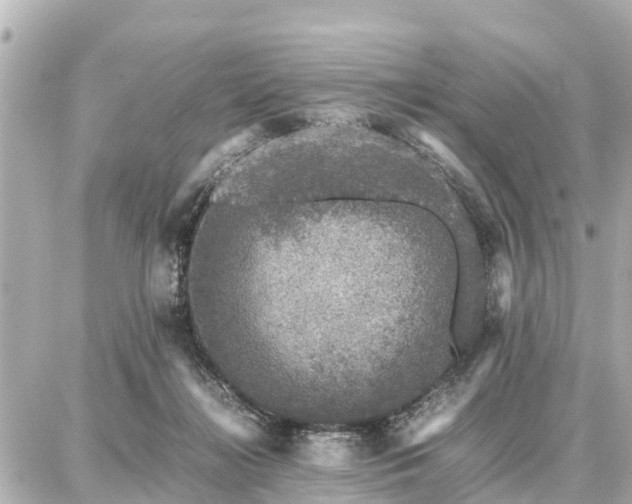 X0000087050268200704251011