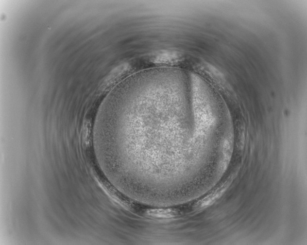 X0000087050273200704251011