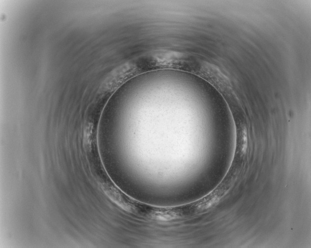 X0000087050275200704251011