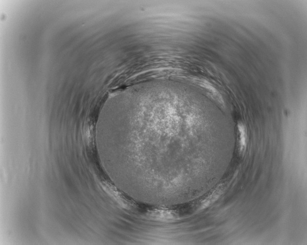 X0000087050276200704251011