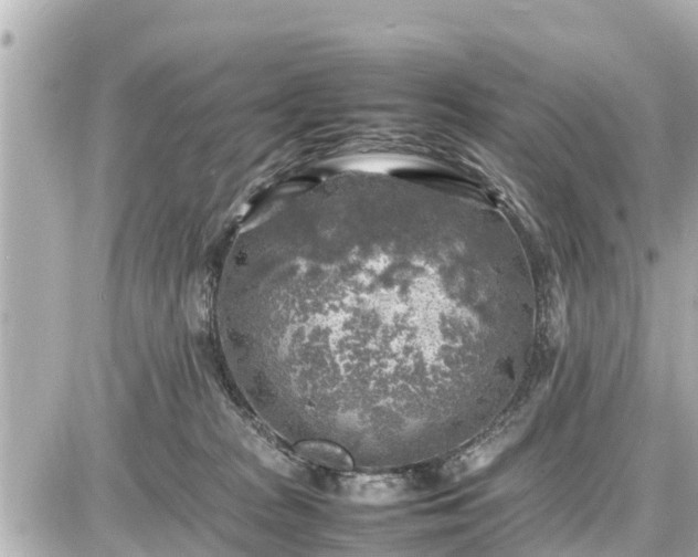 X0000087050277200704251011