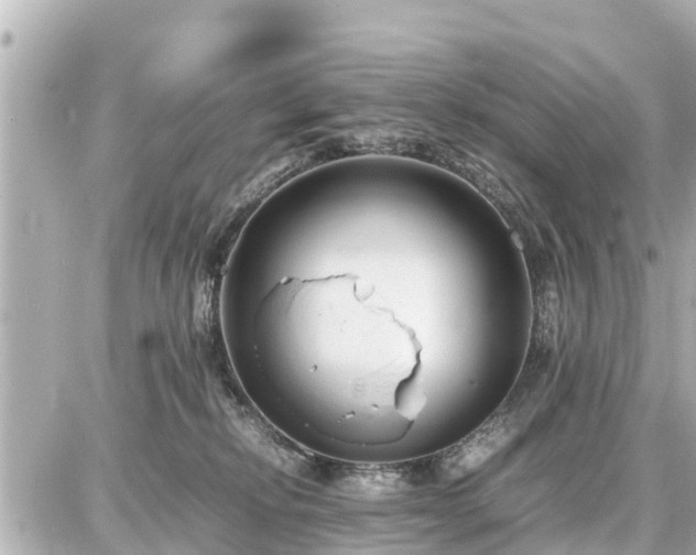 X0000087050278200704251012