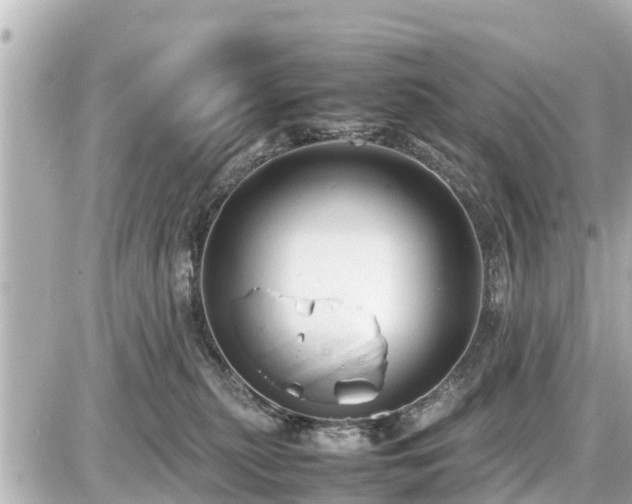 X0000087050279200704251012