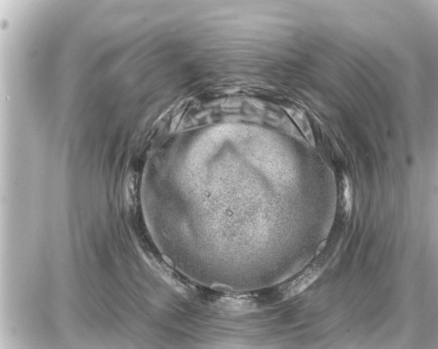 X0000087050280200704251012