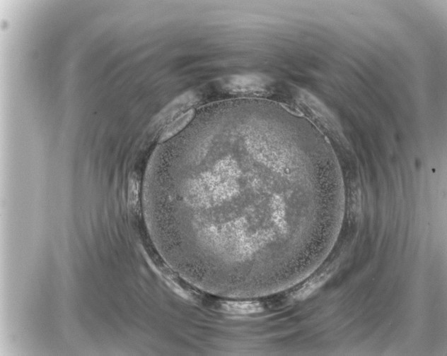 X0000087050281200704251012