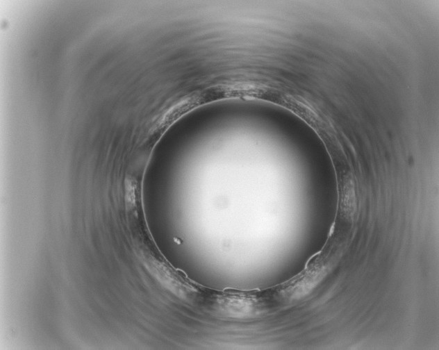 X0000087050282200704251012