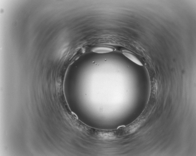 X0000087050283200704251012