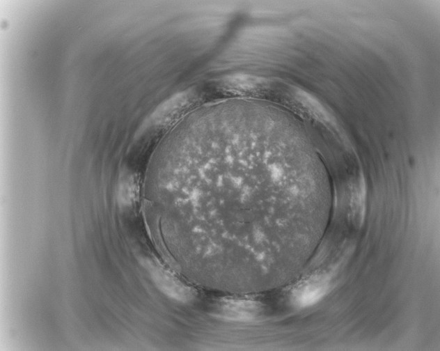 X0000087050284200704251012