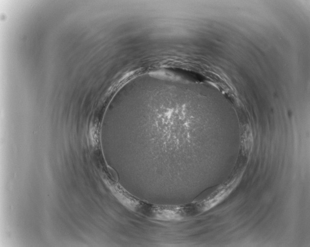 X0000087050285200704251012