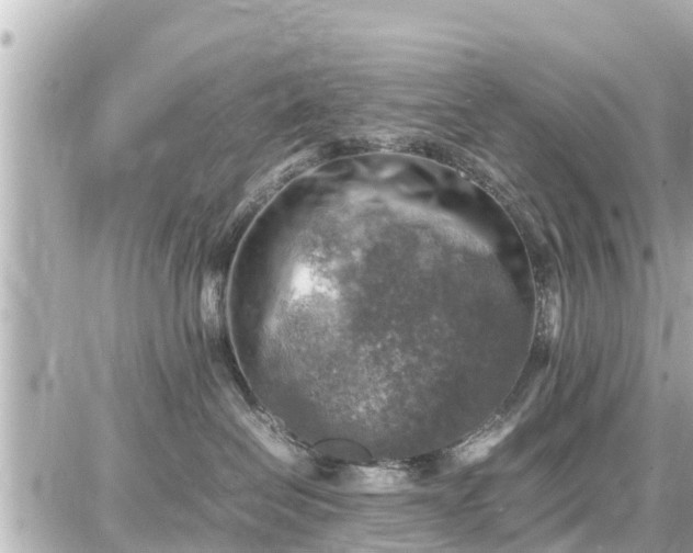 X0000087050286200704251012