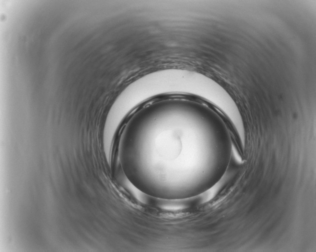 X0000087050287200704251012