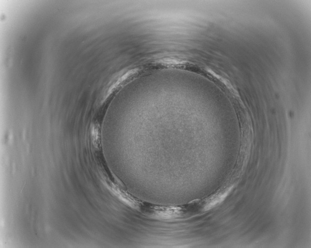 X0000087050288200704251012