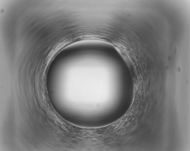 X0000087050289200704251011