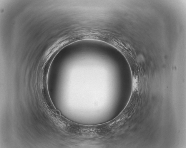 X0000087050291200704251011