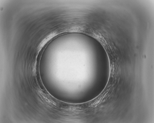 X0000087050292200704251011