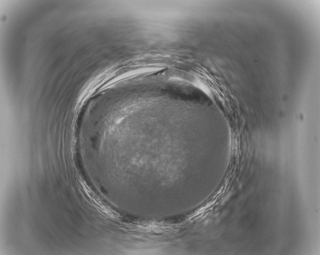 X0000087050293200704251011