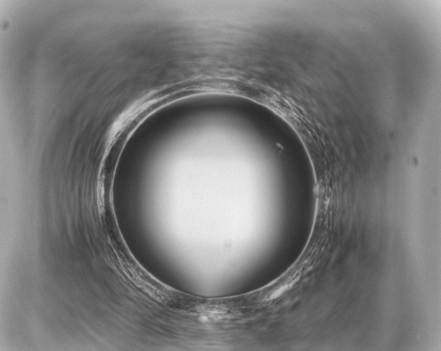 X0000087050294200704251011