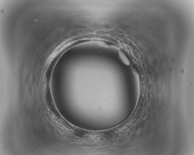 X0000087050295200704251011