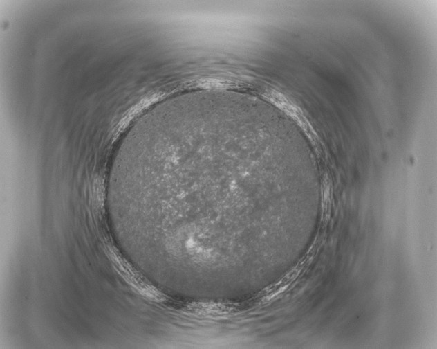 X0000087050297200704251011