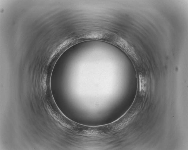 X0000087050300200704251011